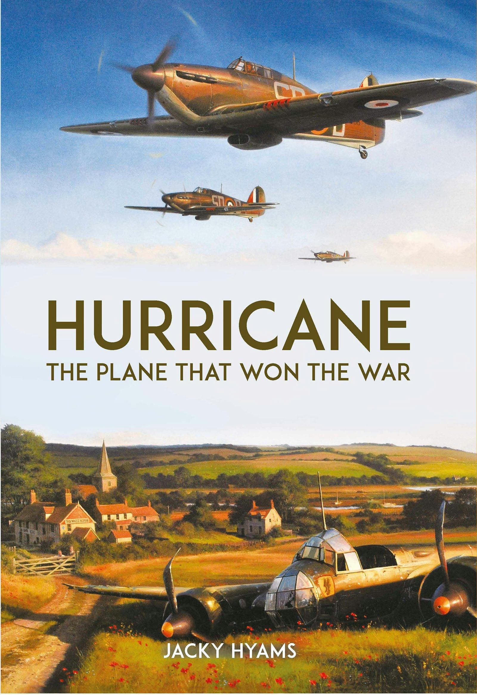 Book cover image for Hurricane ISBN: 9781789298468